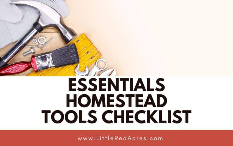 Essentials Homestead Tools Checklist with tools laid out