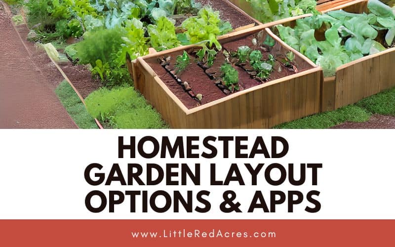 raised garden bed with Homestead Garden Layout Options & Apps text overlay