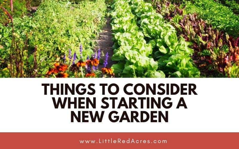 arden with Things to Consider When Starting a New Garden text overlay
