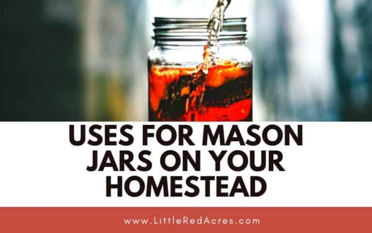 Uses for Mason Jars on Your Homestead
