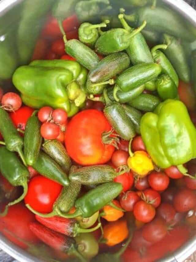 pot full of fresh vegetables