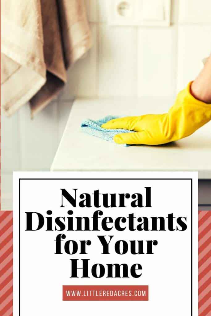 cleaning the counter with Natural Disinfectants for Your Home text overlay
