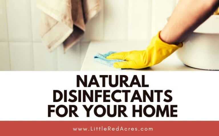 Natural Disinfectants for Your Home