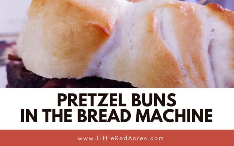Pretzel Buns in the Bread Machine