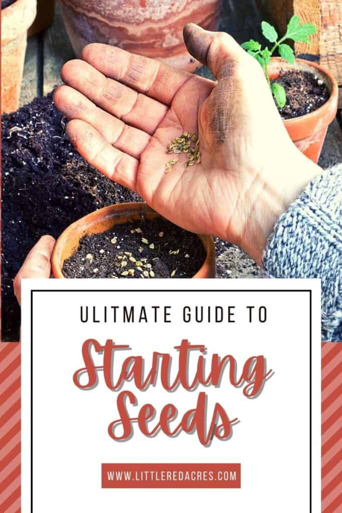 planting seeds with Ultimate Guide to Starting Seeds text overlay