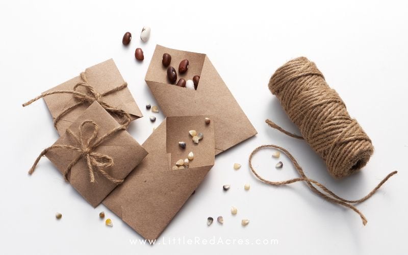 heirloom seeds in homemade envelopes tied with twine