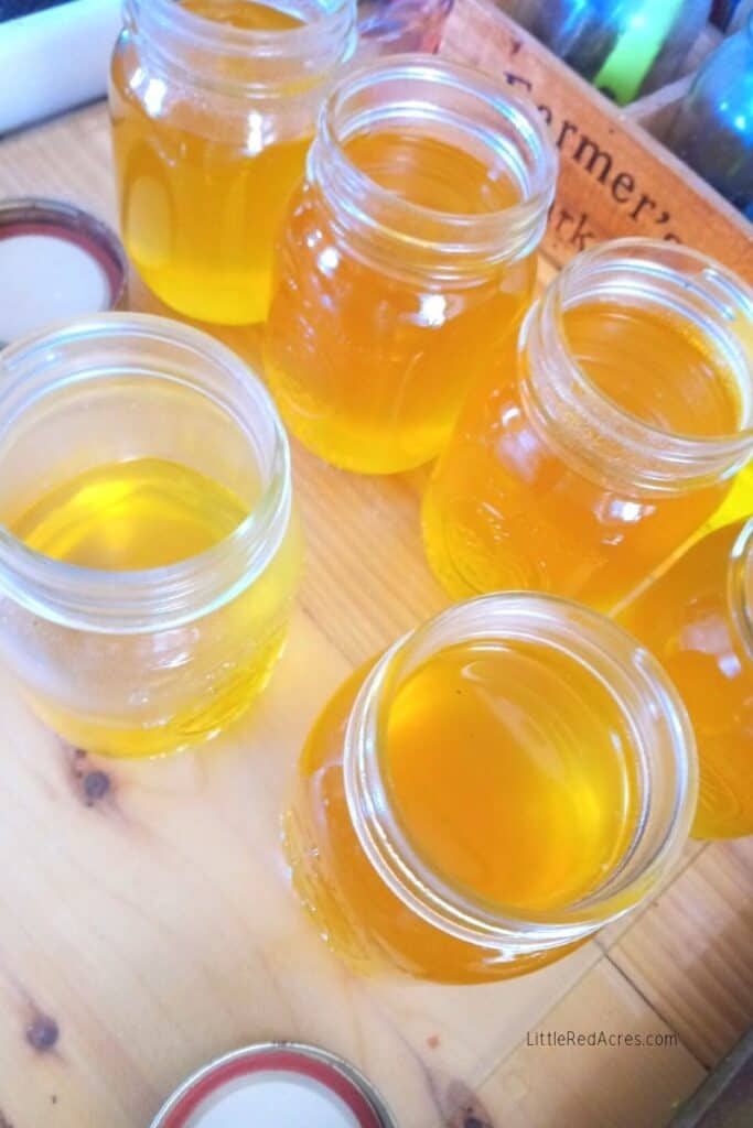 jars of dandelion syrup