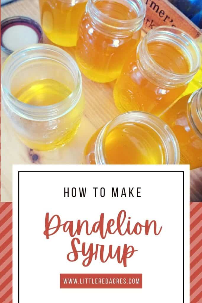 Dandelion Syrup in jars with text overlay