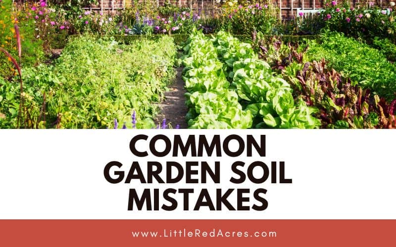 garden rows with Common Garden Soil Mistakes text overlay