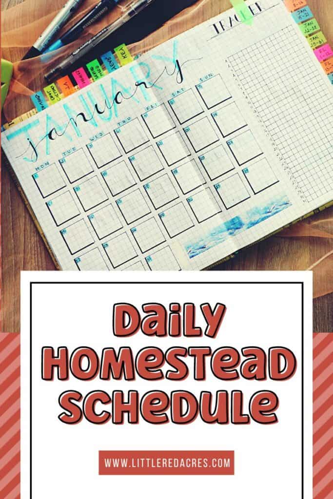 open planner with Daily Homestead Schedule text overlay