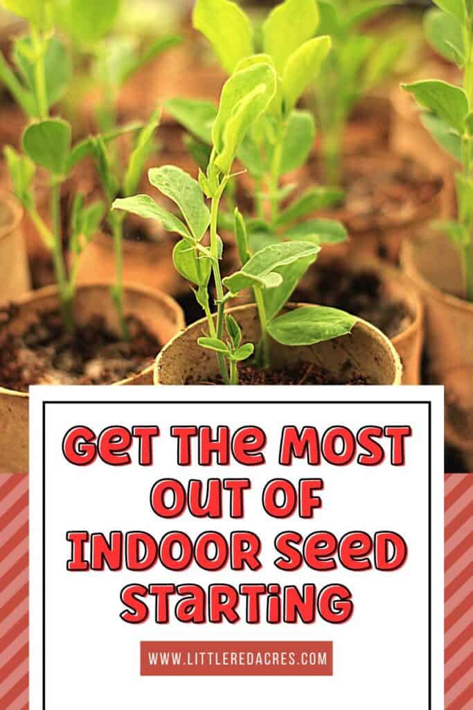 seedlings with Get the Most Out of Indoor Seed Starting text overlay