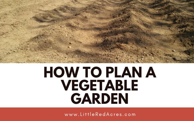 garden rows with How To Plan A Vegetable Garden text overlay
