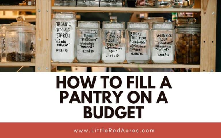 How to Fill A Pantry on A Budget