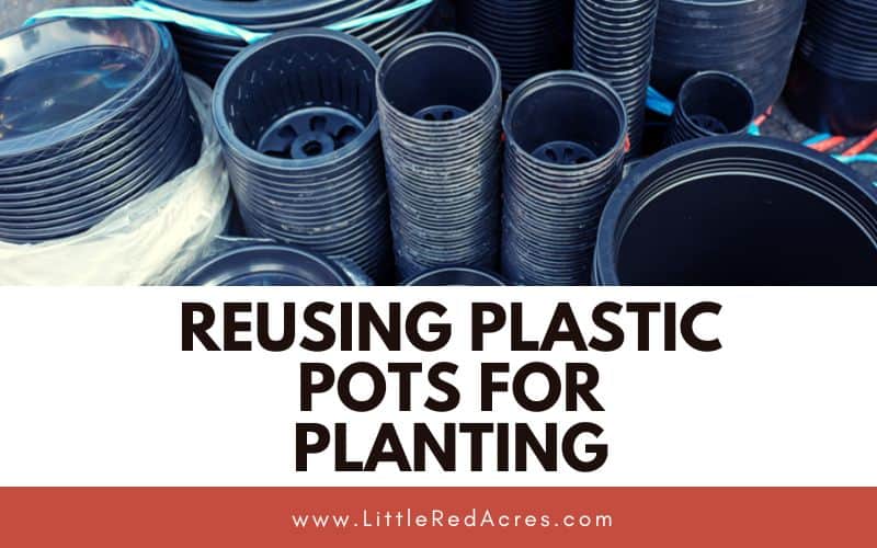 stacks of plastic pots with Reusing Plastic Pots for Planting text overlay