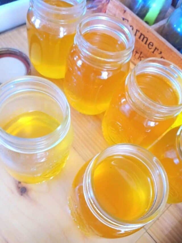 Mason Jars on Your Homestead