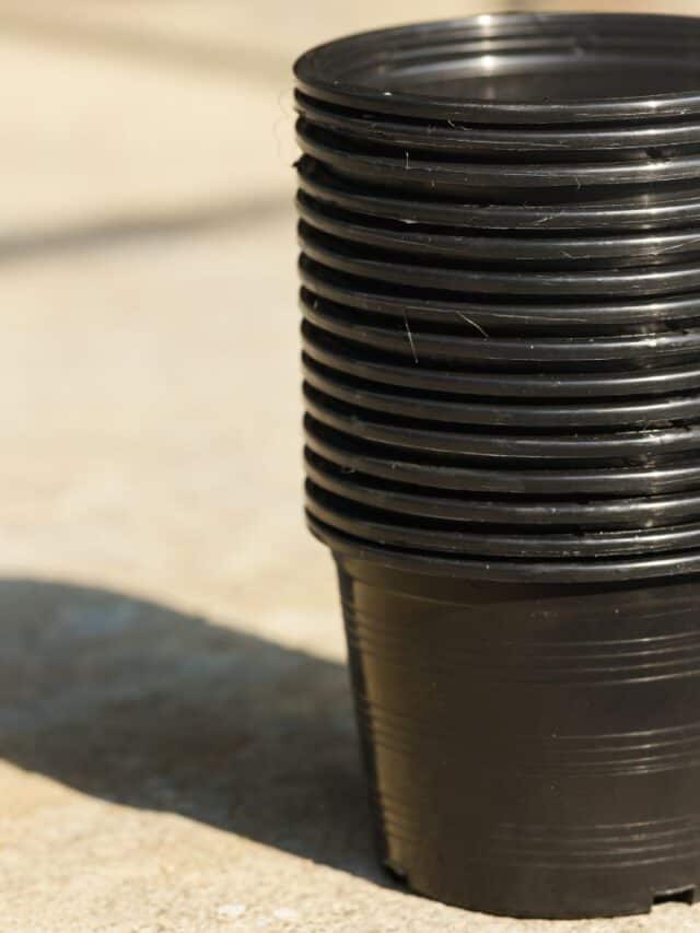 black plastic pots for gardening
