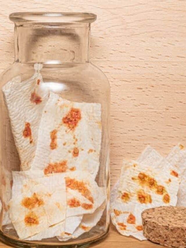 tomato seeds on pieces of paper towel, some in a jar