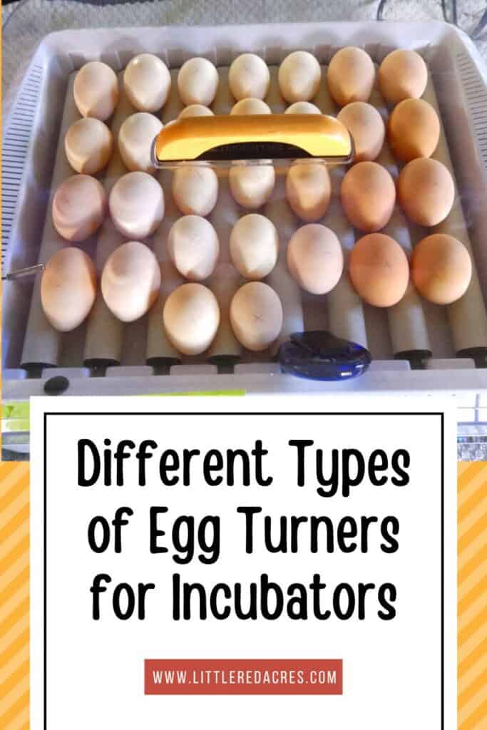 incubator full of chicken hatching eggs with Different Types of Egg Turners for Incubators text overlay