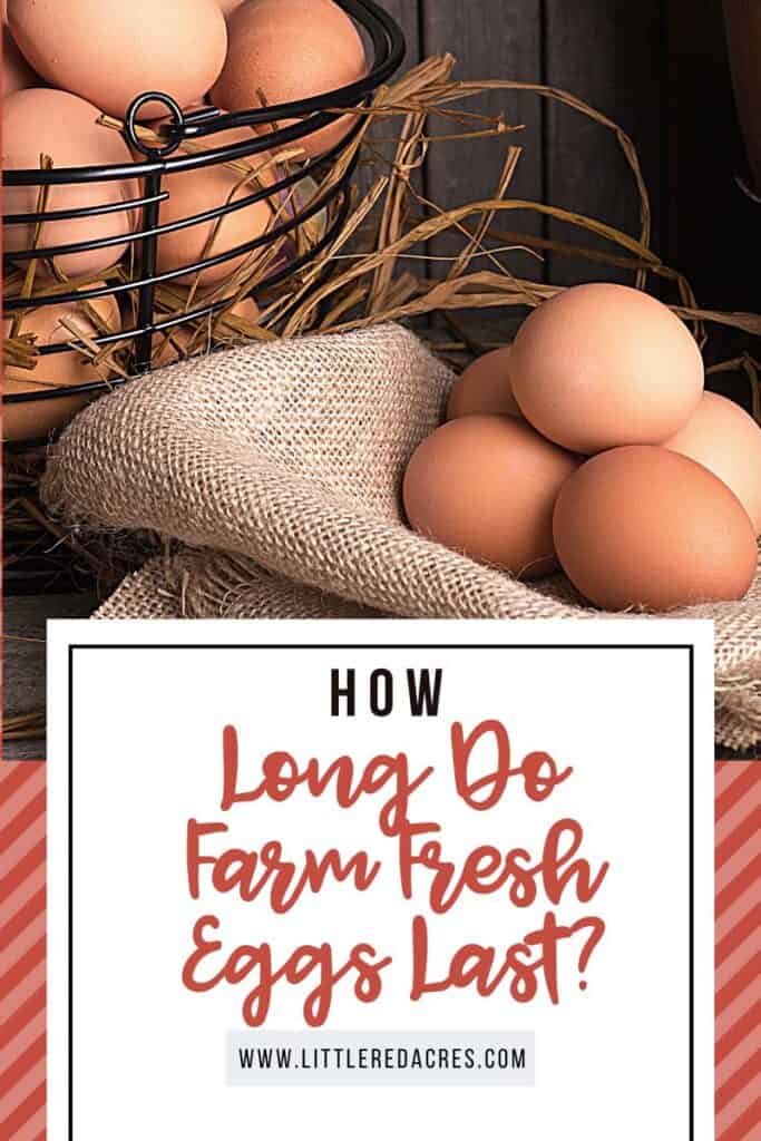 eggs on table with How Long Do Farm Fresh Eggs Last text overlay
