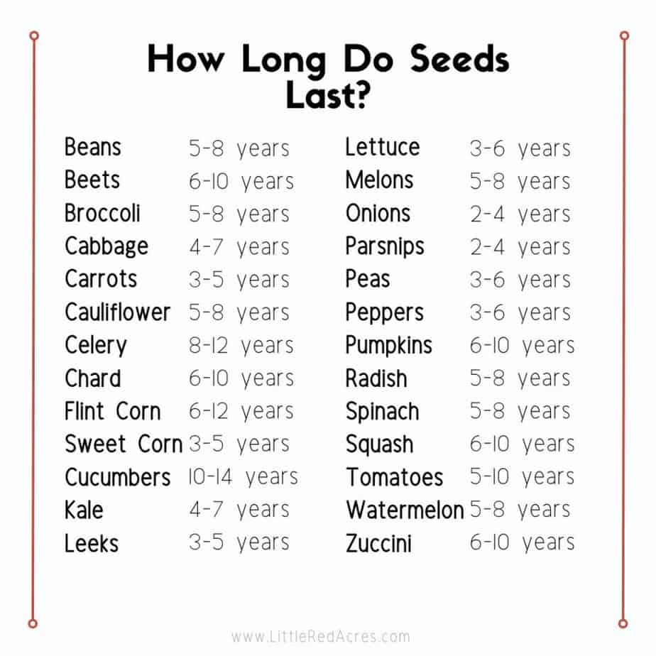graphic image How Long Do Seeds Last