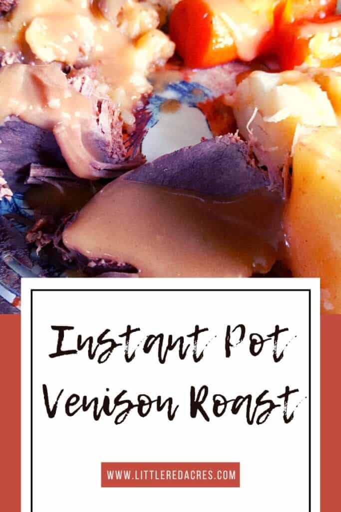 plate of Instant Pot Venison Roast