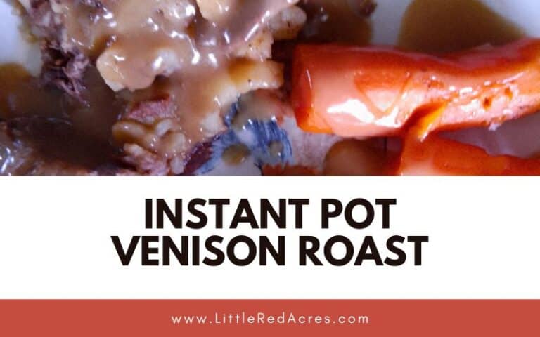 Instant Pot Venison Roast