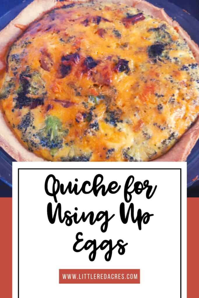 quiche with Quiche for Using Up Eggs text overlay