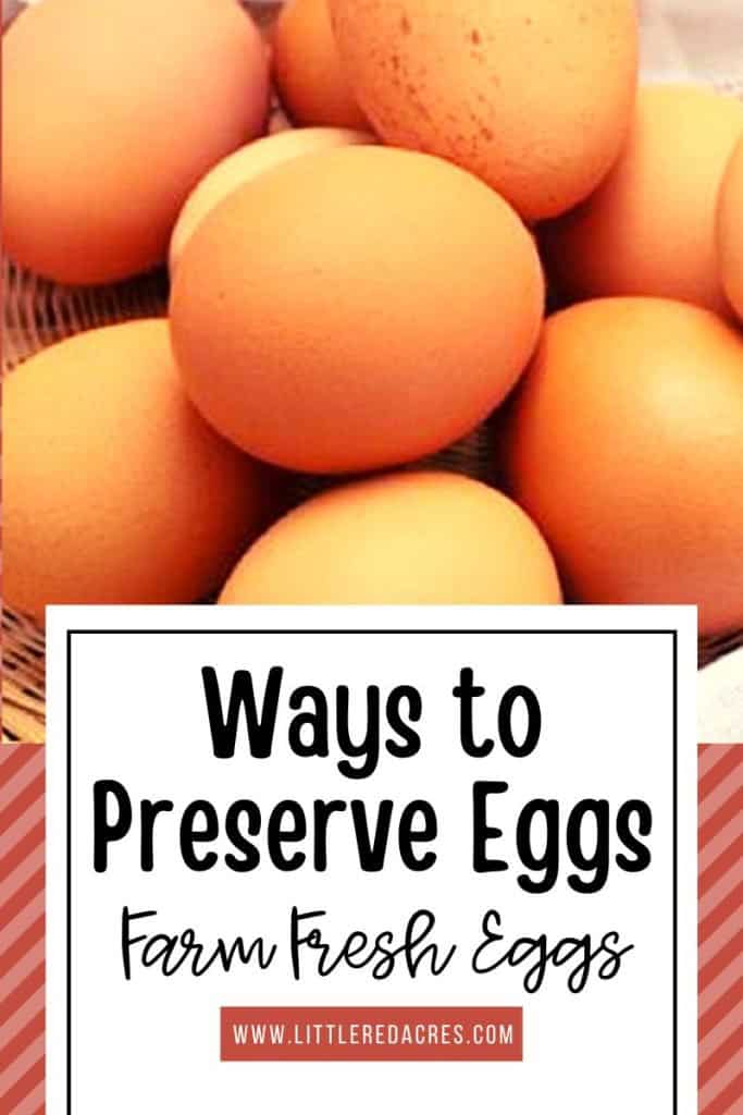 basket of brown eggs with Ways to Preserve Eggs text overlay