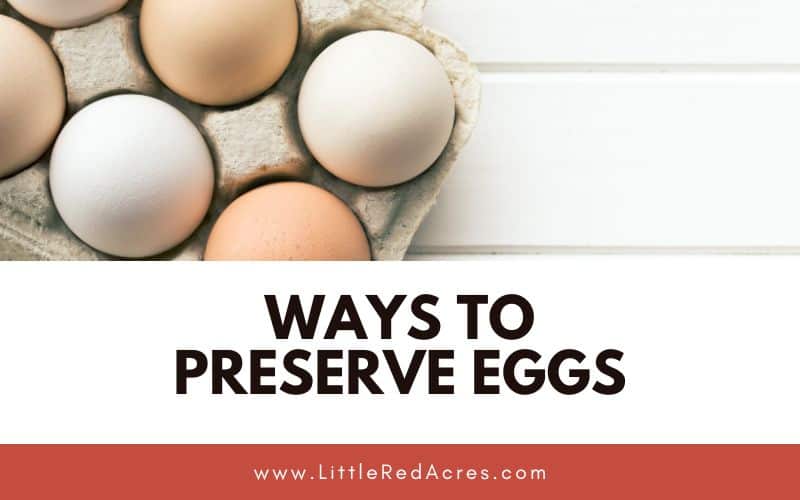 a few eggs in egg carton with Ways to Preserve Eggs text overlay