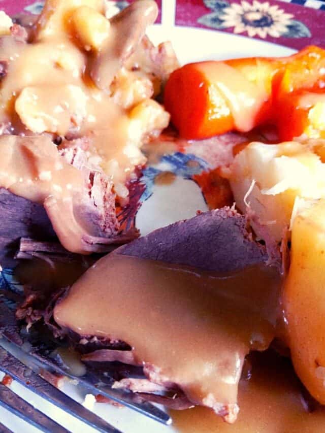 Instant Pot Venison Roast2