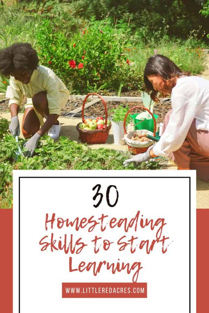 people gardening with Homesteading Skills to Start Learning text overlay