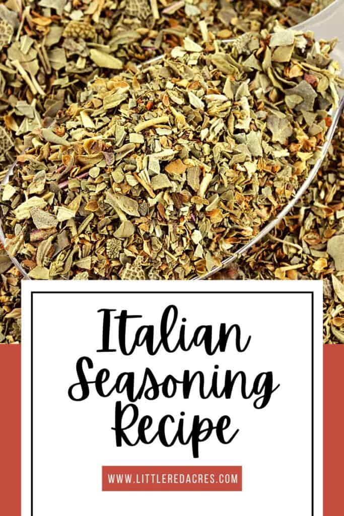 Italian Seasoning on spoon