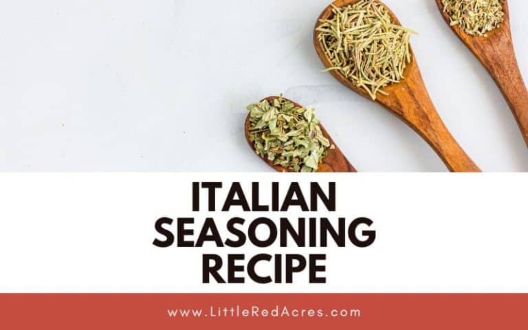 Italian Seasoning Recipe