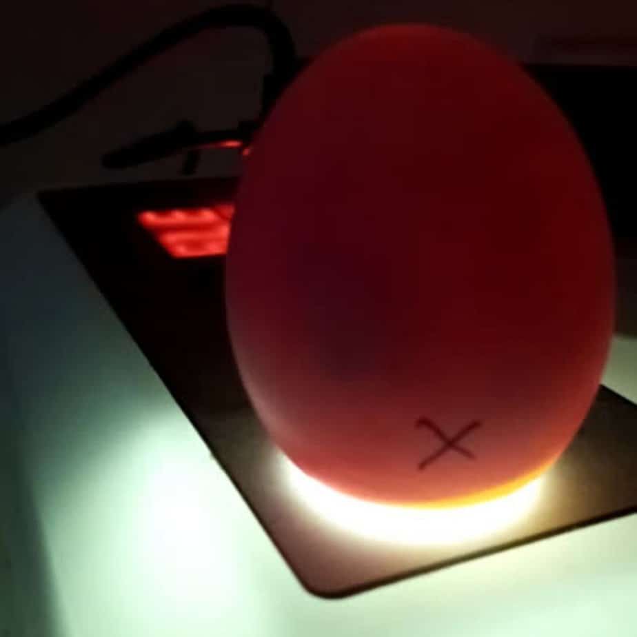 candling eggs - incubating eggs