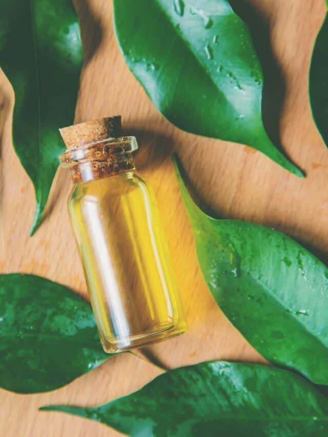 tea tree oil bottle on leaves