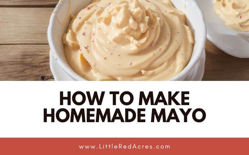 How to Make Homemade Mayo, Ready in Minutes