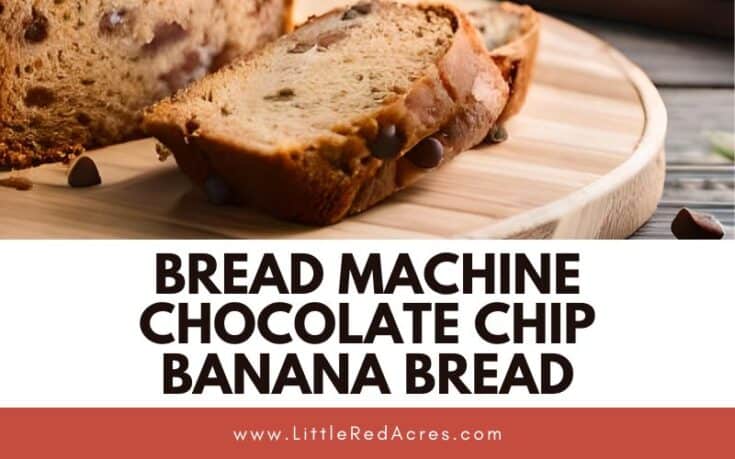 Bread Machine Chocolate Chip Banana Bread slices on wooden cutting board