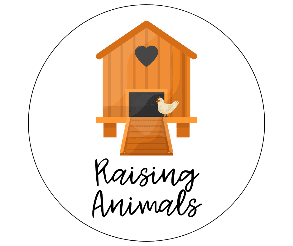 chicken coops with raising Animals on it