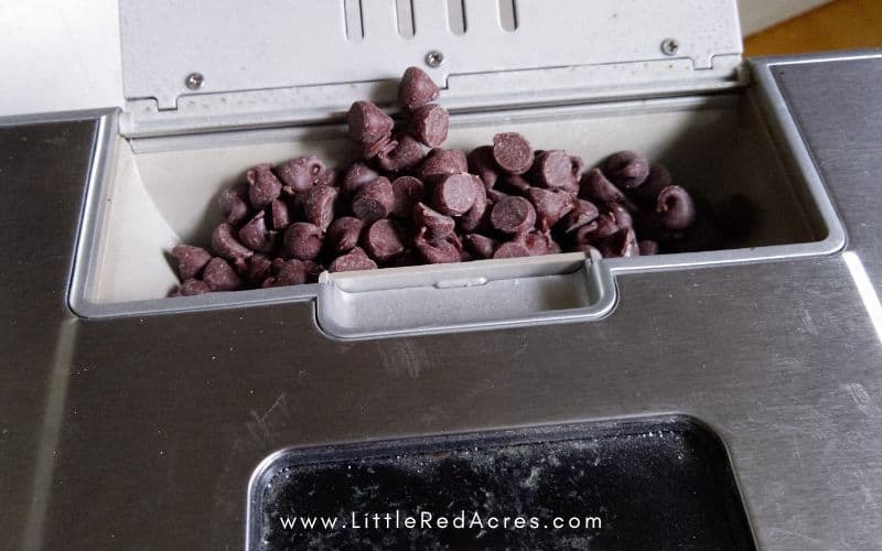 chocolate chips in nut dispenser
