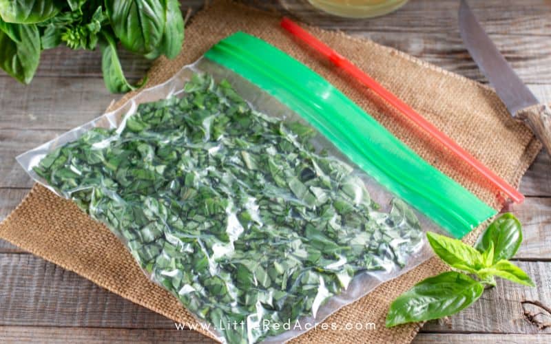 frozen fresh herbs in ziploc bag