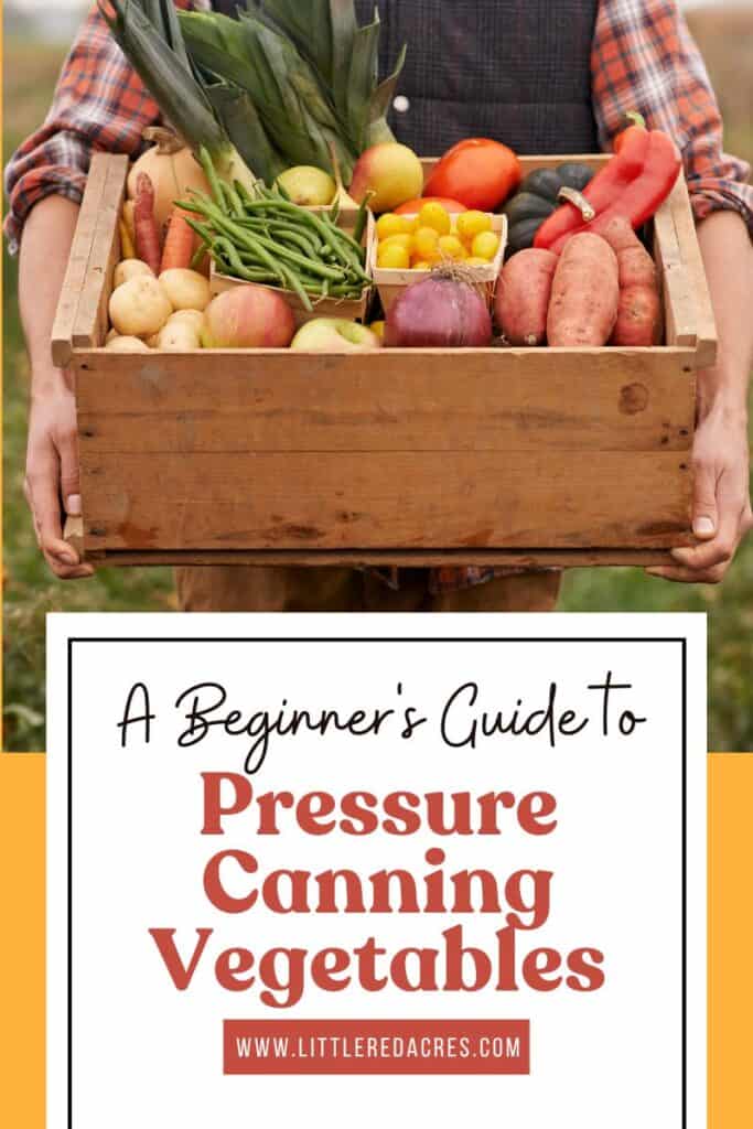 box of vegetables A Beginner's Guide to Pressure Canning Vegetables cover image text overlay