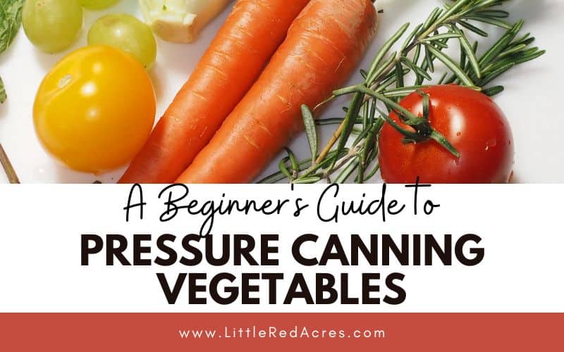 vegetables on counter with A Beginner's Guide to Pressure Canning Vegetables cover image text overlay