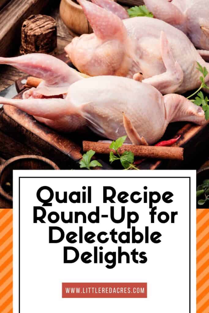 uncooked quail on cooking sheet with A Quail Recipe Round-Up for Delectable Delights text overlay