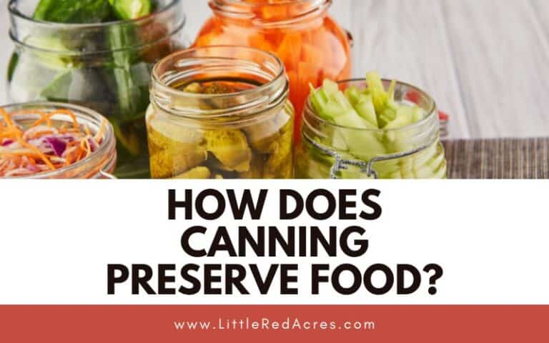 From Garden to Jar: How Does Canning Preserve Food?