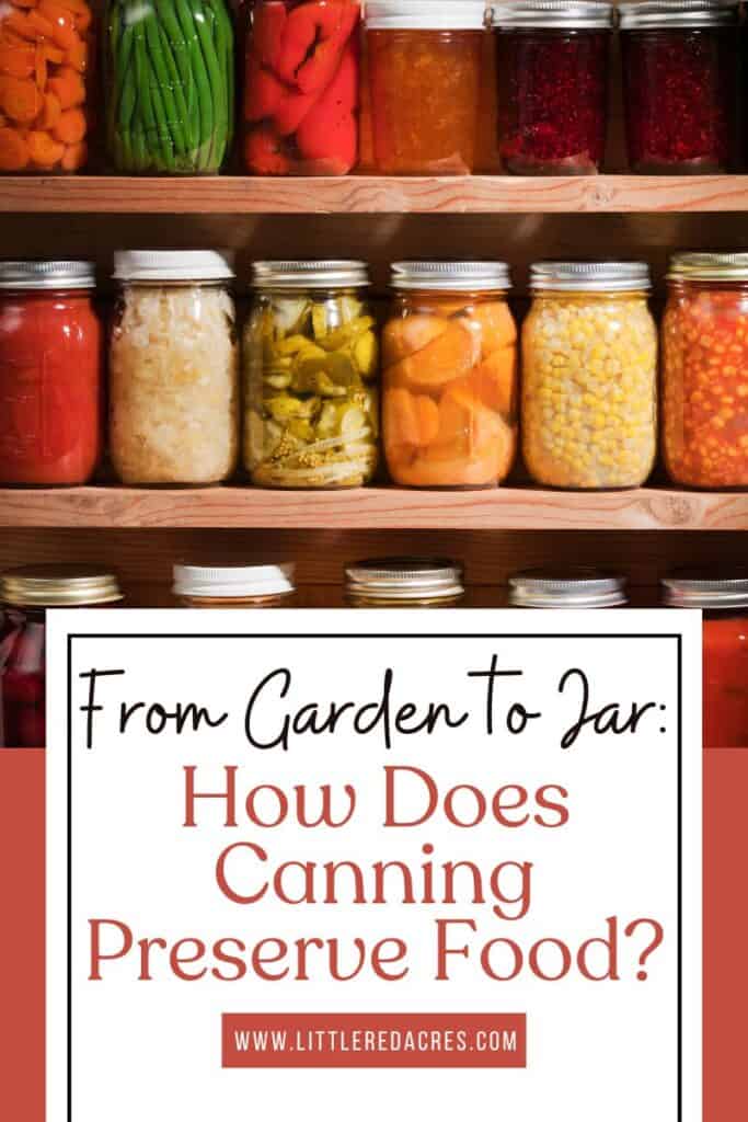 canned goods on shelves with From Garden to Jar: How Does Canning Preserve Food? text overlay