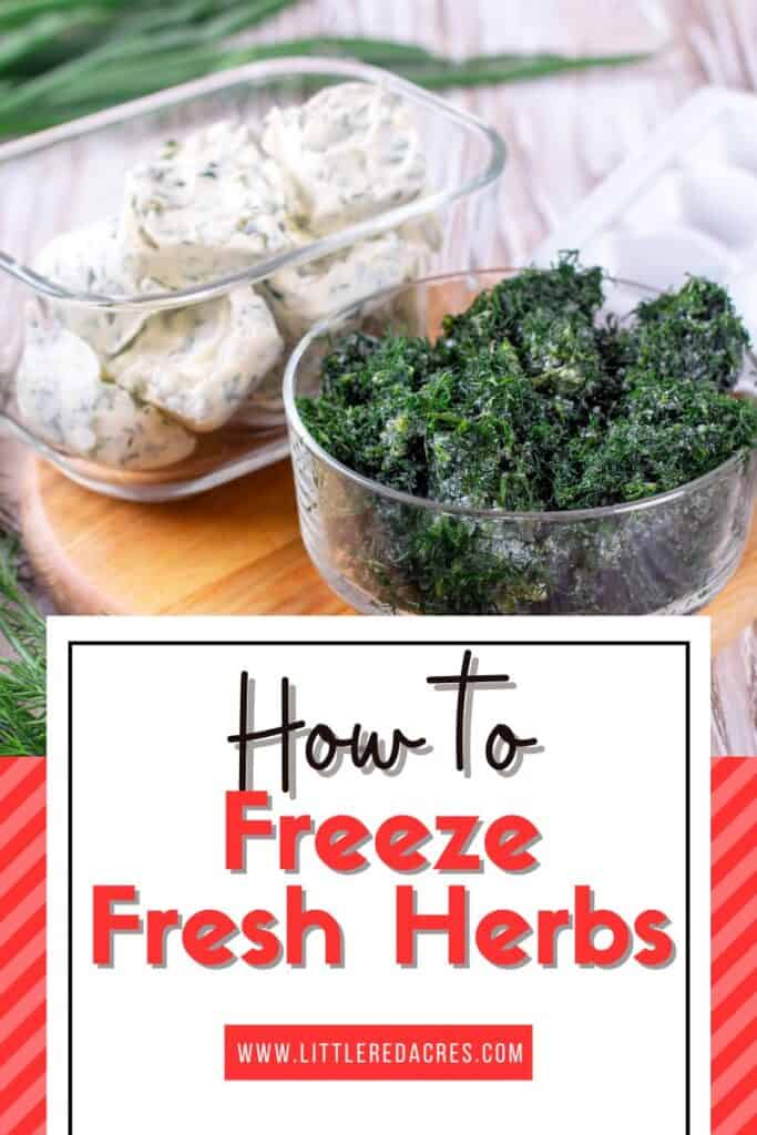 herbs frozen in oil and in bowl with How to Freeze Fresh Herbs text overlay