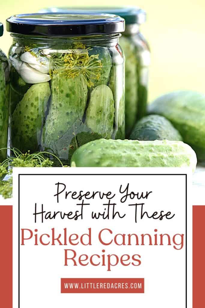 jar of pickles with cucumbers on table with Preserve Your Harvest with These Pickled Canning Recipes text overlay
