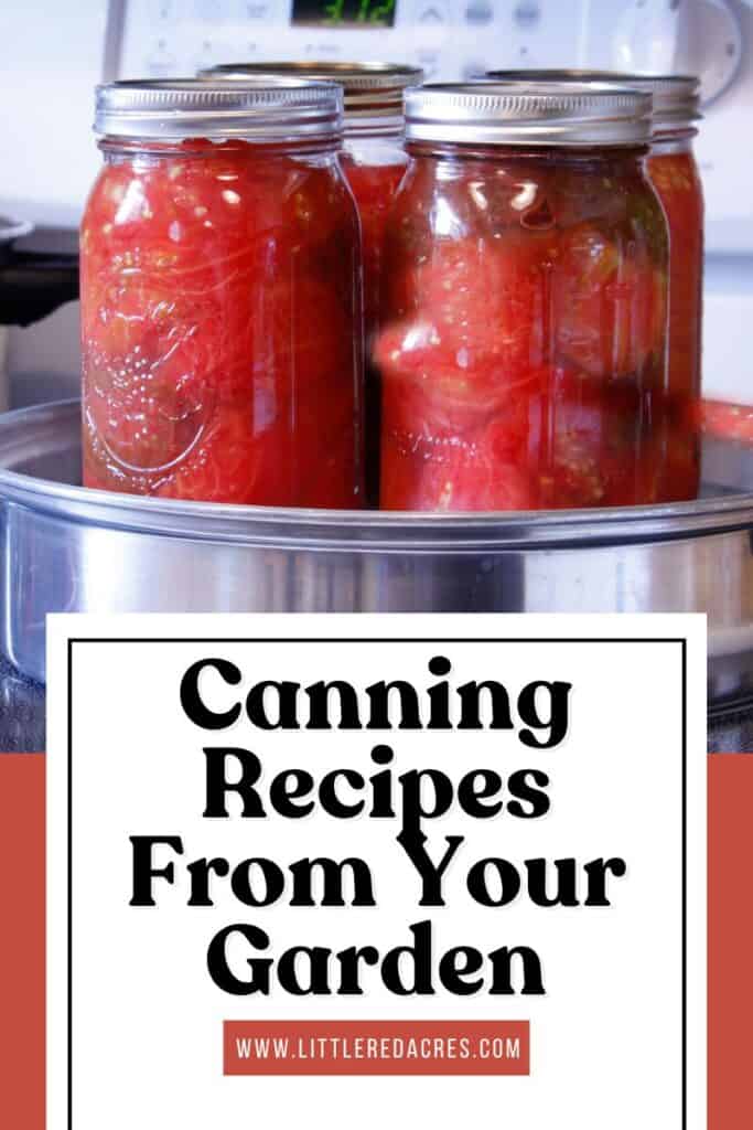 water bathing tomato with Canning Recipes From Your Garden text overlayt