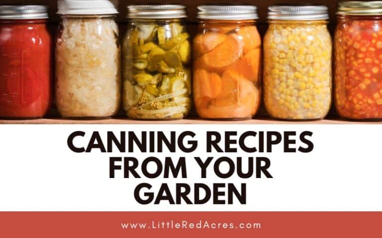 Canning Recipes From Your Garden