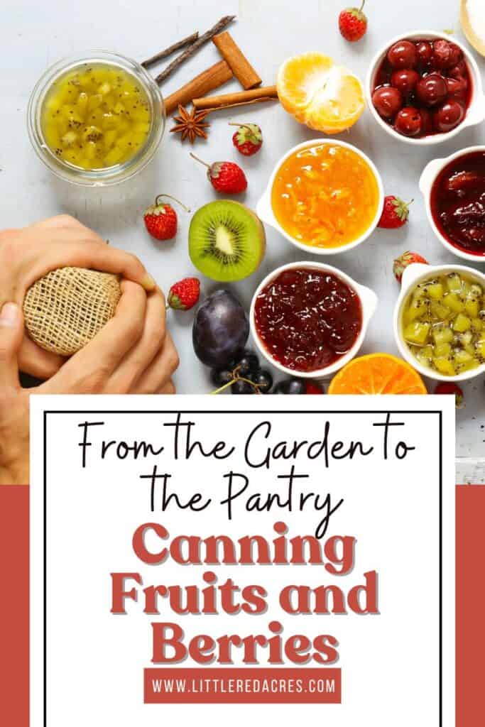canning fruits and berries with From the Garden to the Pantry Canning Fruits and Berries text overlay